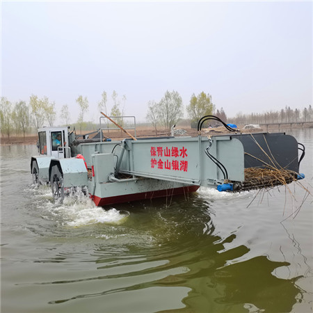 1634715134164448.jpg 202103154.jpg