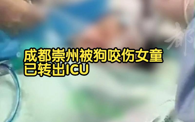 下载中心 第14页