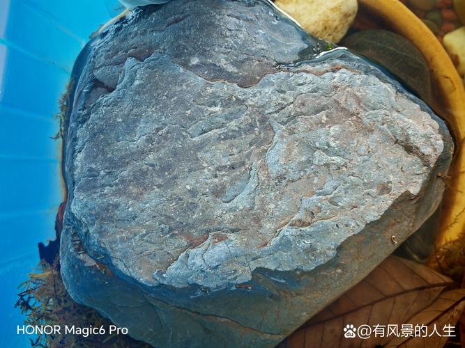 澳门科技大学读研和黑独山疑遭捡石褪黑与黑独山的石头