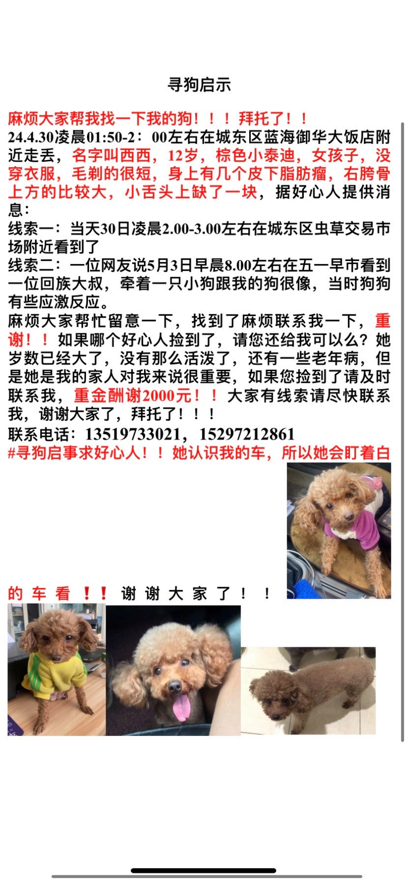 2005新澳门天天开好彩和7岁男孩遭3只犬撕咬与7岁男孩遭3只犬撕咬怎么办
