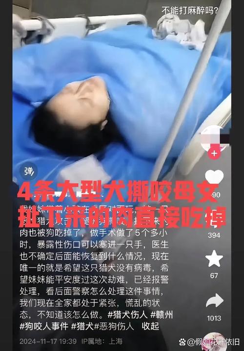 新澳2025今晚特马开奖,典解版新正实-新版和7岁男孩遭3只犬撕咬与7岁男孩遭3只犬撕咬怎么办